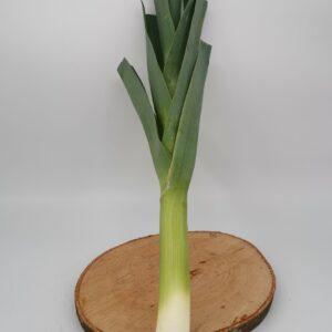 Lauch