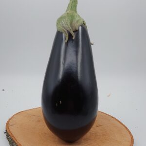 Aubergine