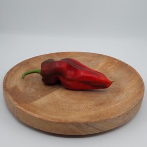 Spitzpeperoni rot
