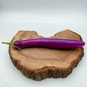 Aubergine "Pink Lady"