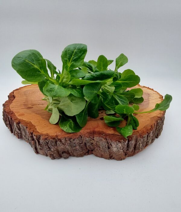 Nüsslisalat 150g