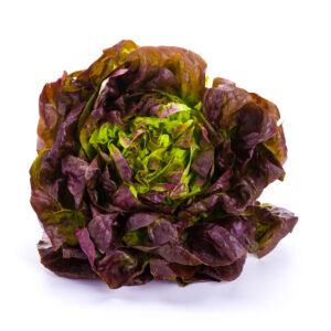 Kopfsalat rot