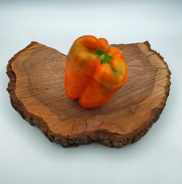 Peperoni orange