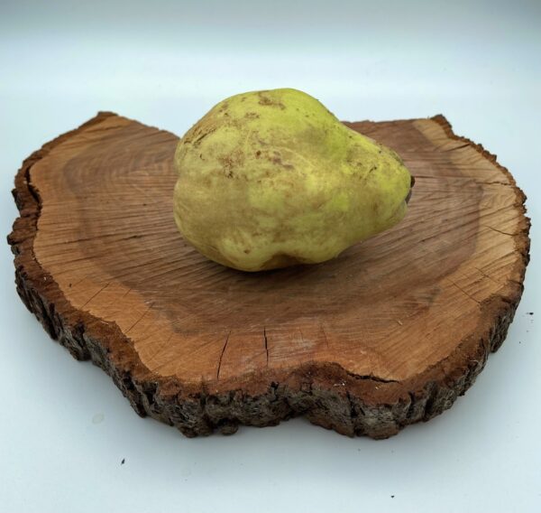Quitten 1kg