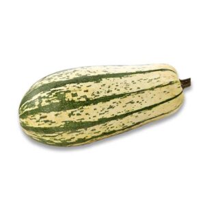 Delicata Kürbis