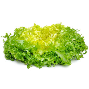 Endivien Frisée Salat